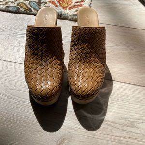 Everlane Clogs